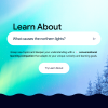google-learn-about-is-the-patient-teacher-with-a-bag-full-of-tricks-we-all-wanted-as-kids