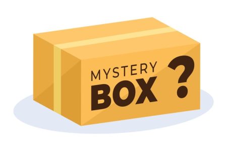 Are Tech Mystery Boxes Worth It? A Review
