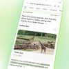 google-ai-overviews-said-to-be-showing-for-just-7-percent-of-all-searches