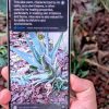 visual-intelligence-has-made-the-camera-control-on-my-iphone-16-worth-using