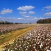 best-internet-providers-in-dothan,-alabama