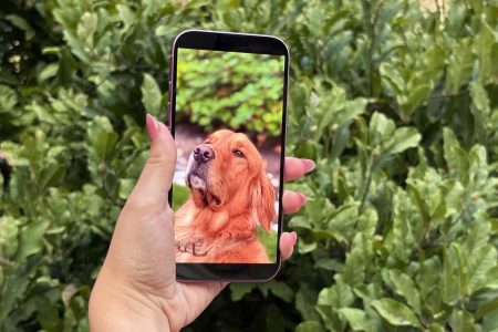 I’ve got two fresh iPhone 17 rumors for you, but one of them stinks