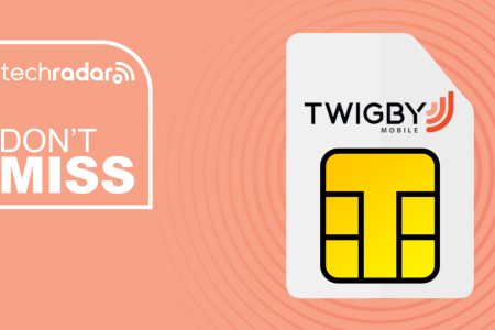 Twigby just brought back its superb intro deal – get unlimited data for just $25/mo