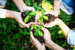 9 Garden Tools You Need (and 7 You Don&apos;t), According to Experts