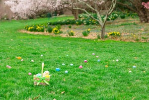 Eggs Too Expensive? Try These 4 Alternatives for Easter Dyeing