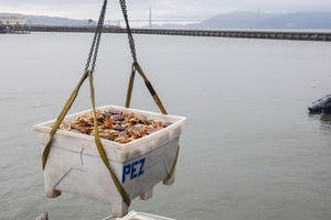 How Tariffs Will Affect Grocery Prices, According to an Agro-Economics Professor