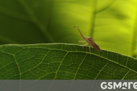 Check out the first OnePlus 13s camera samples