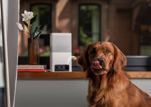 8 Amazing Pet Gadgets that Your Dog or Cat Will Love