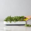 best-indoor-smart-gardens-for-2025